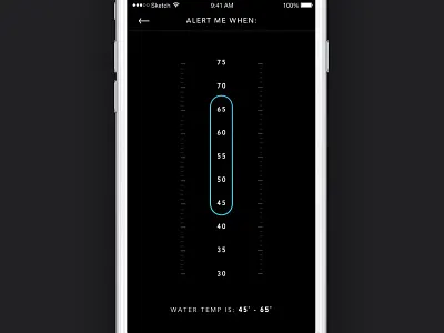 Surf Report - Temperature dark flat surf report ui