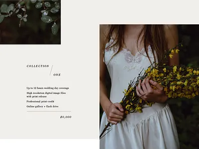 Collection One design grid layout photography typography