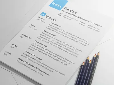 Resume curriculum vitae cv resume typography white
