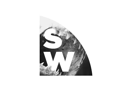 Chomp city bug broadcast discovery jaws shark shark week teeth