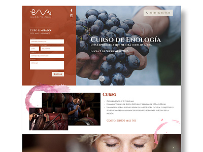 Wine School ux web wine