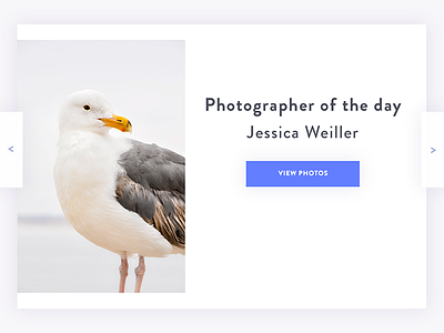 Photographer Card card colors minimal modern photography simple ui ux vibrant web design