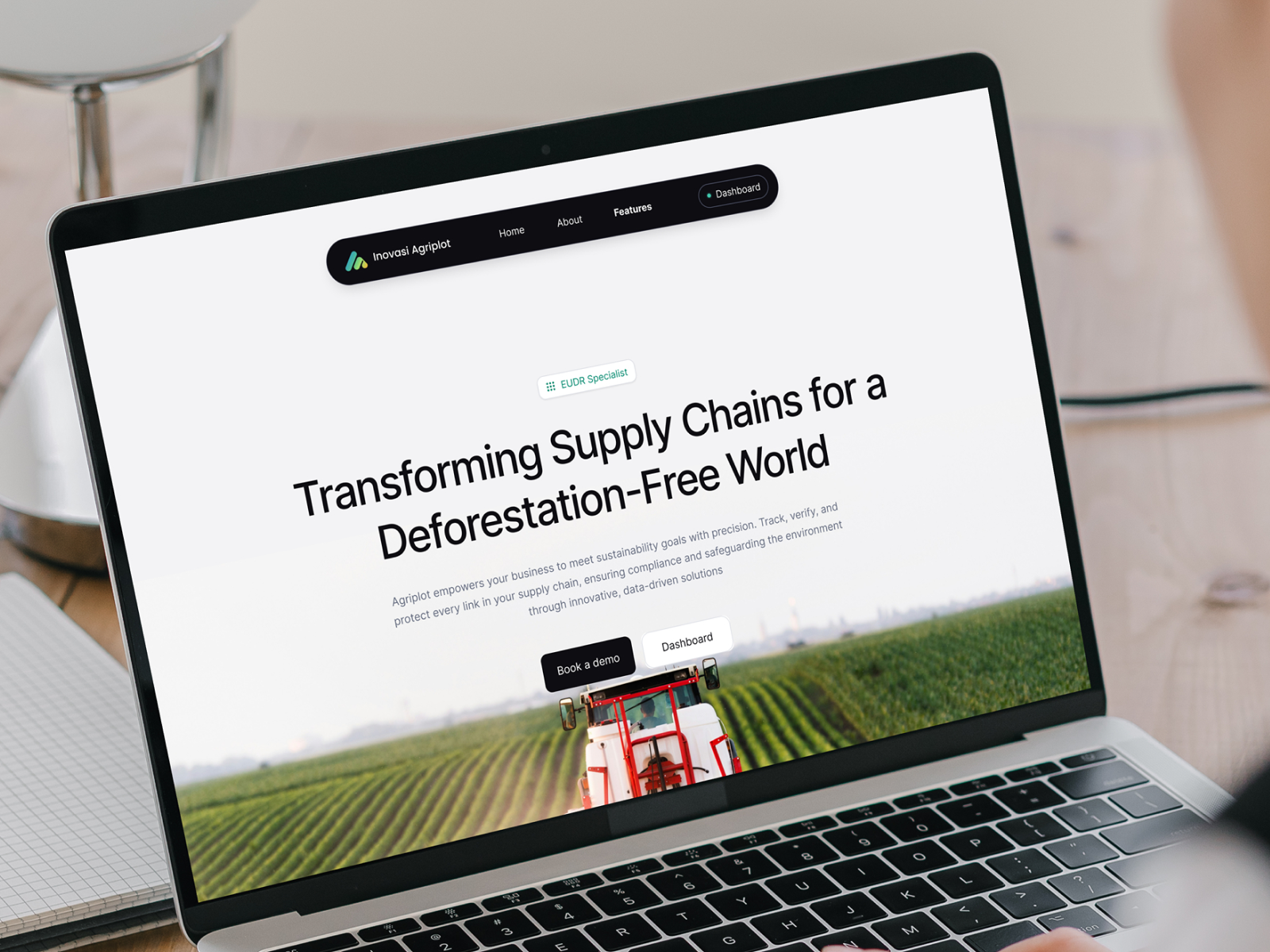 Example of Custom Website Design Only Per Page