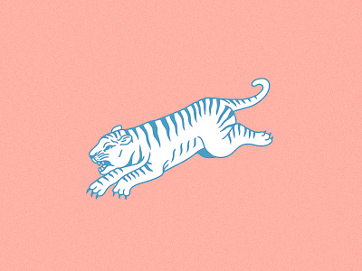 Tiger Illustration art artwork blue digital hand drawn hand made pink tattoo tiger wacom