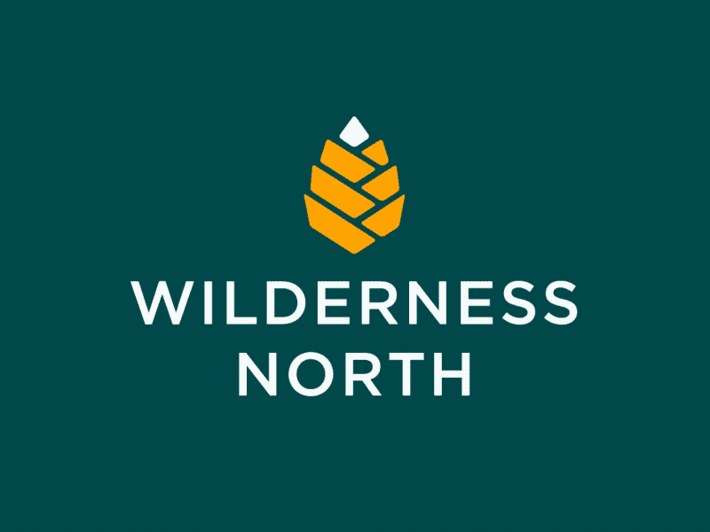 Wildernessnorth ae after aftereffects animation brand branding framebyframe gif liquid logo motion