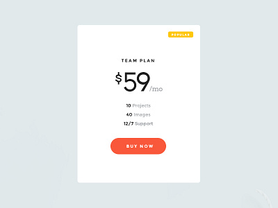 Pricing Plan clean flat simple web webdesign