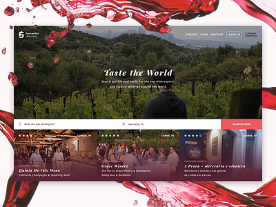 Wine Directory directory grid poland sommelier tiles ui ux web wine wip