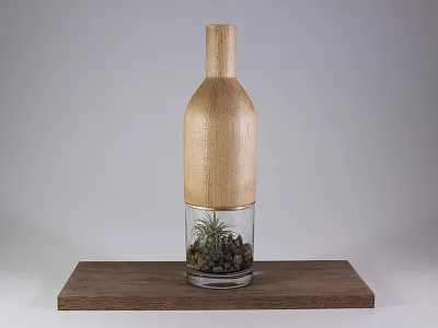 Maple and Glass Terrarium design glass industrial plants wood