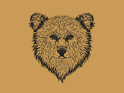 Brown Bear 2 cents bear hand drawn hoodie illustration line art outdoor tshirt