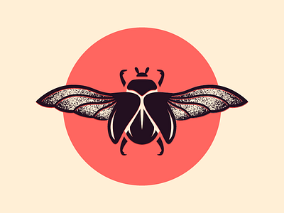 Beetle beetle bug illustration