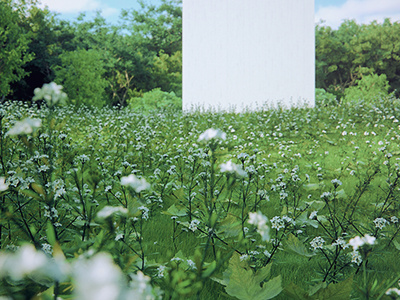 Chapel In The Woods #2 3d visualization architecture visualization archviz chapel in the woods corona exposed conrete exterior forest architecture forest chapel rendering vegetation
