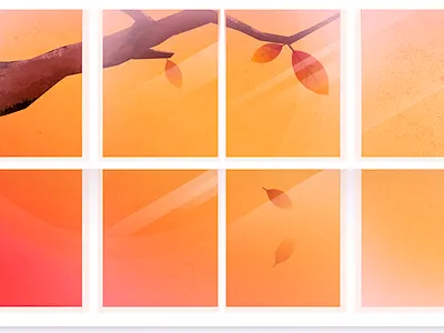 Fall autumn fall leaf leaves sun tree warm window