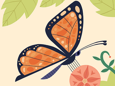 Butterfly animals butterfly childrens books illustration nature scientific illustration