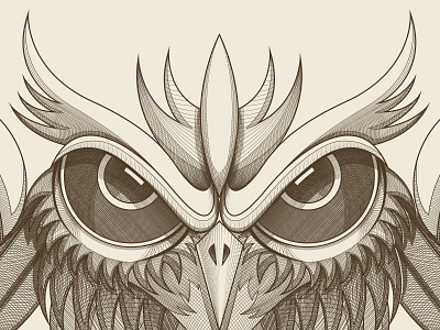 detail of owl illustration，bird owl