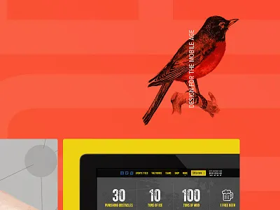 csharp detail bird layout portfolio vintage web design website