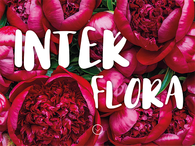 Daily UI - Day 3 - Landing Page dailyui day3 flowers landingpage ui web