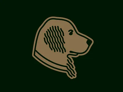 National Dog Day dog golden