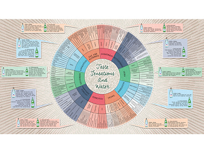 San Pellegrino wheel of flavor presentation san pellegrino sanpellegrino wheel flavor wheelflavor