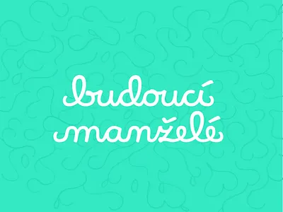 Script logotype brand lettering logo logotype script type typo typography wedding