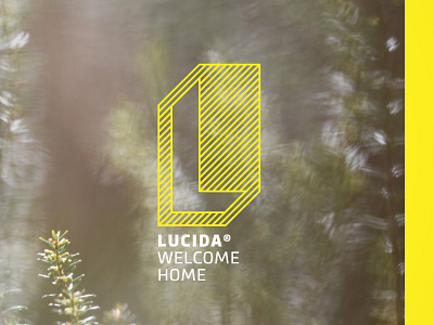 Lucida architectural branding diagonal home letter lines logo nature outlines technical technical drawing typography yellow