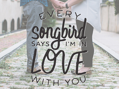 Music Monday No. 5 • Sam Beam & Jesca Hoop - Every Songbird Says hand drawn handmade type iron wine jesca hoop lyrics sam beam type type design typography