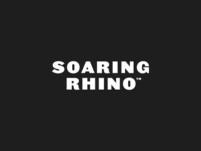 Soaring Rhino Typography board games brand development branding games mobile rhino soaring typography