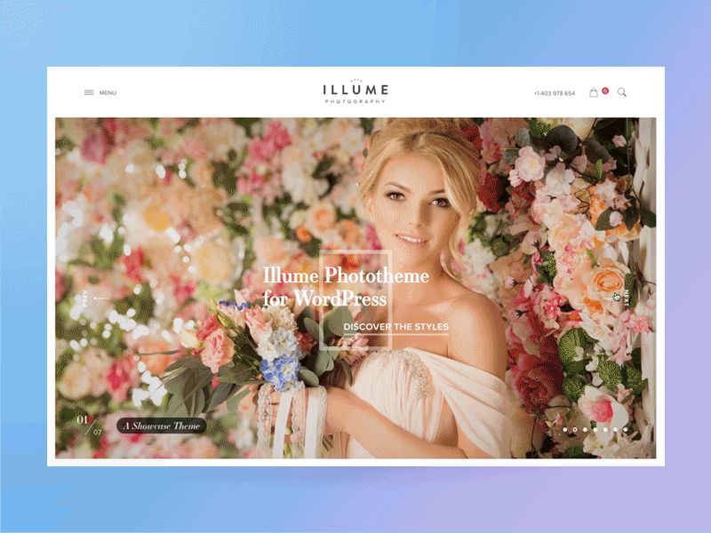 Albums animation on a theme animation fullscreen homepage photography romantic theme web website wordpress
