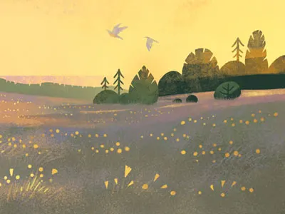 Serpentine Prairie birds california flowers graphic illustration landscape nature science sunset wildflowers