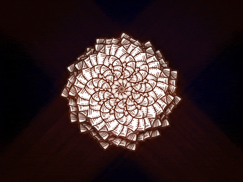 Patterns! Patterns! nr2 after effects animation chris zloty cinema4d gif kzloty