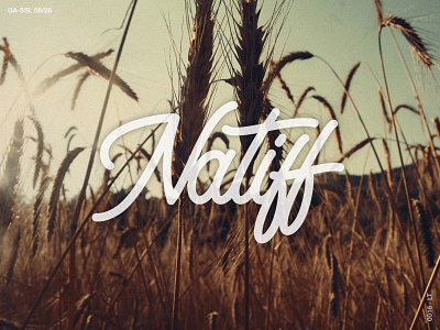 Natiff Logotype brushpen calligraphy handlettering lettering logo logotype vector