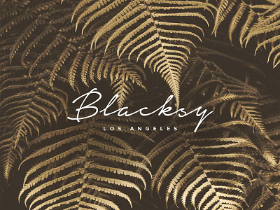 Blacksy gold unsplash