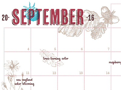 September acorn calendar fall illustration leaves nature science september typography