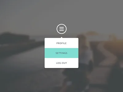 027 - Daily UI 027 27 daily dailyui down drop dropdown menu toggle ui