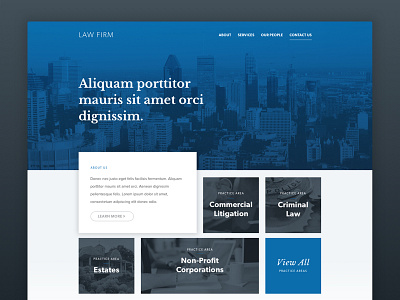 Law Homepage blue duotone homepage law website