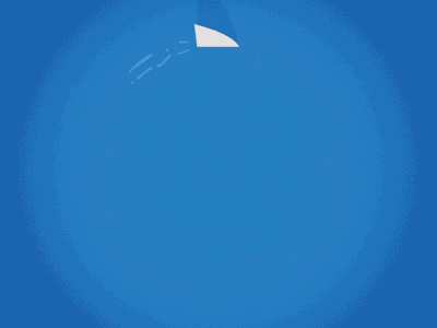 Shark 2d after effects animation looping
