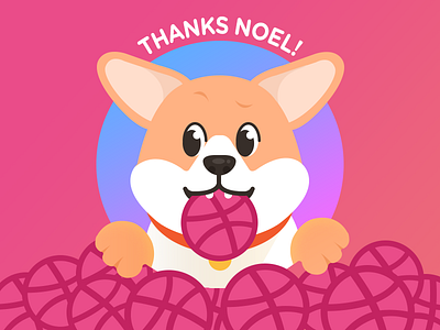 Hello Dribbble corgi debut dribbble first hello hi puppy shot welsh