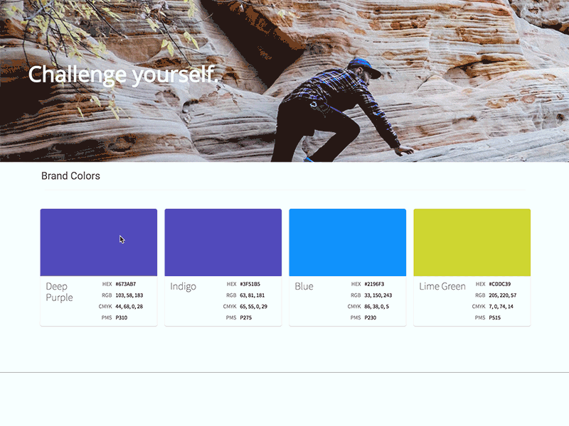 Brand Colors Palette animation brand click to copy colors palette ui ux