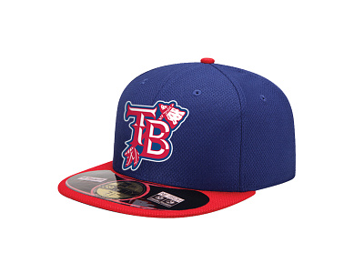 Texas Braves cap baseball braves cab chisel feathers hat hatchet monogram texas