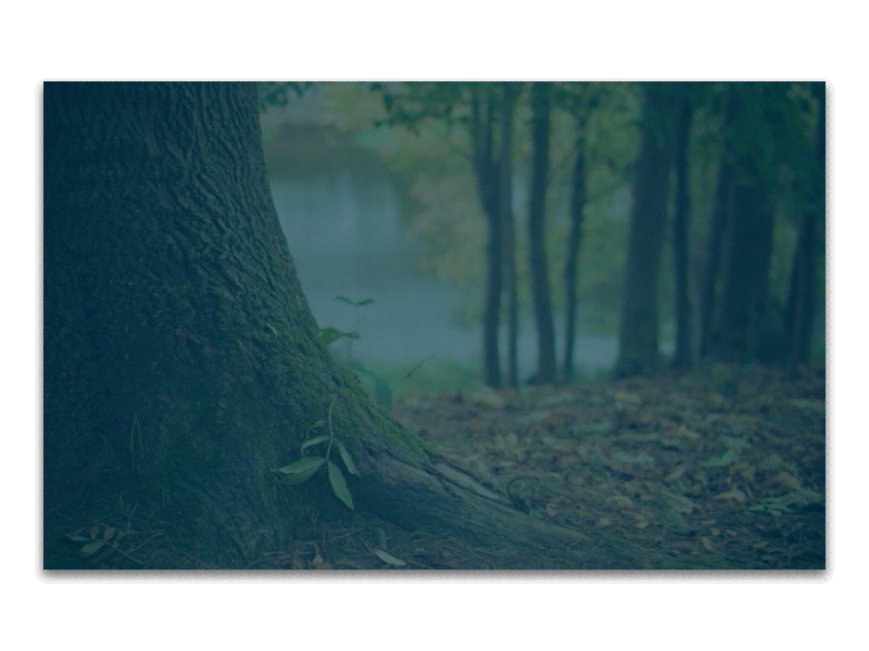 LeafPartner Motion motion practice principle ui ux