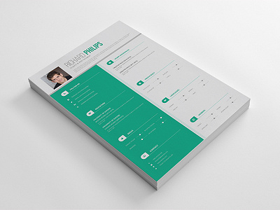 Resume/Cv 210x297mm a4 ai resume clean resume corporate resume cv ms word resume print pro professional resume psd design psd resume