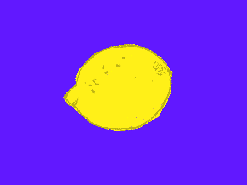 Lemon Loop for PithNYC 2d animation animation frame by frame illustration lemon loop photoshop