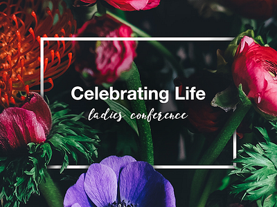 Celebrating Life dark flowers helvetica ladies ladies conference life reject pile simple