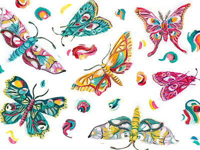 Moths moths