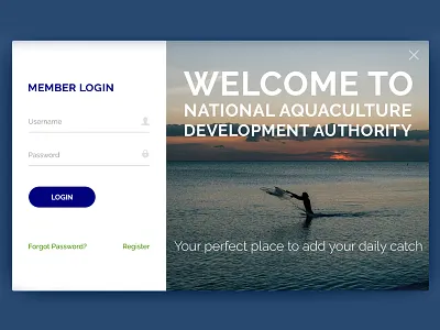 Design for the NAQDA blue design sri lanka ui ux