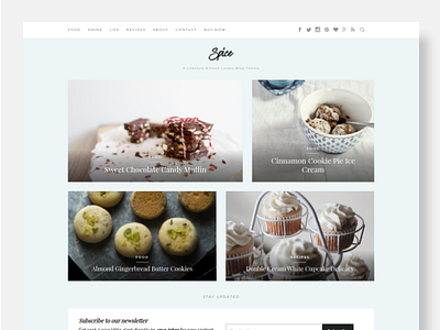 Spice blog etsy food magazine template theme wordpress