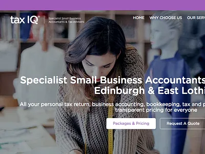 Tax IQ | Website Design and Marketing digital marketing web design web development