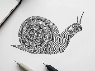Animal Lines ''Snail'' art drawing earth graphic design hand drawn illustration ink lines nature pen sketch snail