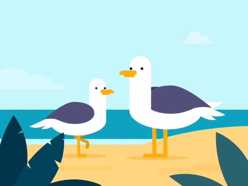 Seagulls 2d after effects beach bird illustration seagull summer