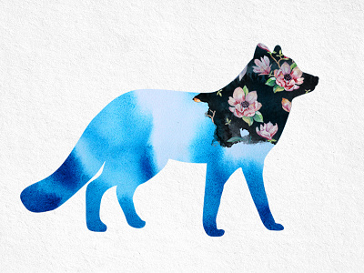 Fox illustration manish