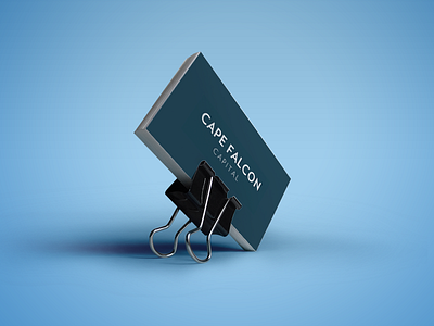 Cape Falcon Capital logo branding business card design indentity design logo mockup stationery typography